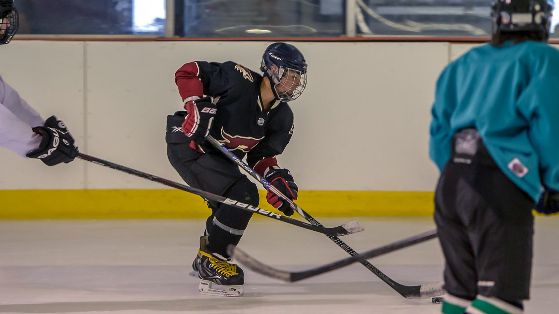 Adult League - Oak Park Ice Rink